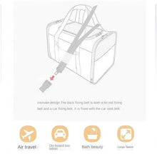 Portable Pet Carrier Bag for Cats & Small Dogs – Breathable Mesh Travel Bag