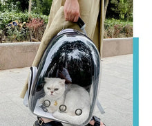 Transparent Pet Carrier Backpack for Cats & Small Dogs – Breathable Travel Bag