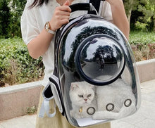 Transparent Pet Carrier Backpack for Cats & Small Dogs – Breathable Travel Bag