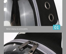 Transparent Pet Carrier Backpack for Cats & Small Dogs – Breathable Travel Bag