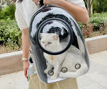 Transparent Pet Carrier Backpack for Cats & Small Dogs – Breathable Travel Bag