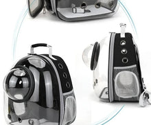 Transparent Pet Carrier Backpack for Cats & Small Dogs – Breathable Travel Bag