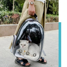 Transparent Pet Carrier Backpack for Cats & Small Dogs – Breathable Travel Bag
