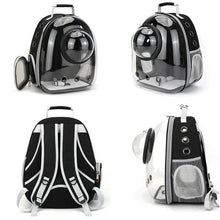 Transparent Pet Carrier Backpack for Cats & Small Dogs – Breathable Travel Bag
