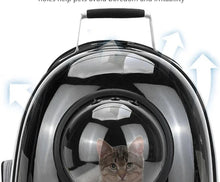 Transparent Pet Carrier Backpack for Cats & Small Dogs – Breathable Travel Bag