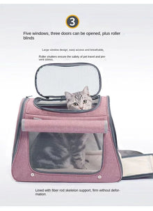 Portable Pet Carrier Bag for Cats & Small Dogs – Breathable Mesh Travel Bag