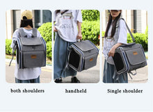 Pet Bicycle & Motorcycle Carrier Bag, Portable Cat & Small Dog Travel Backpack with Breathable Mesh