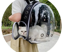 Transparent Pet Carrier Backpack for Cats & Small Dogs – Breathable Travel Bag