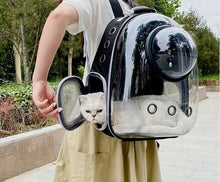 Transparent Pet Carrier Backpack for Cats & Small Dogs – Breathable Travel Bag
