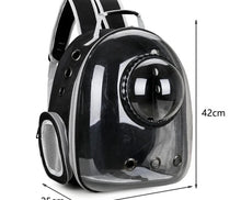 Transparent Pet Carrier Backpack for Cats & Small Dogs – Breathable Travel Bag