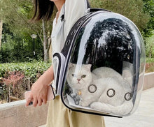 Transparent Pet Carrier Backpack for Cats & Small Dogs – Breathable Travel Bag